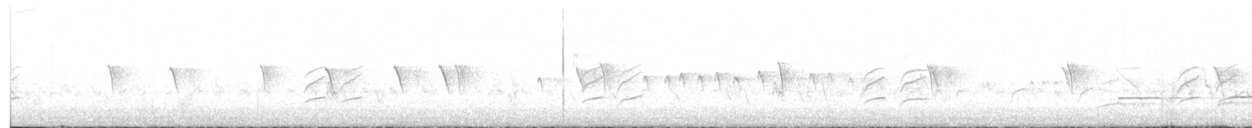 passerine sp. - ML638755855