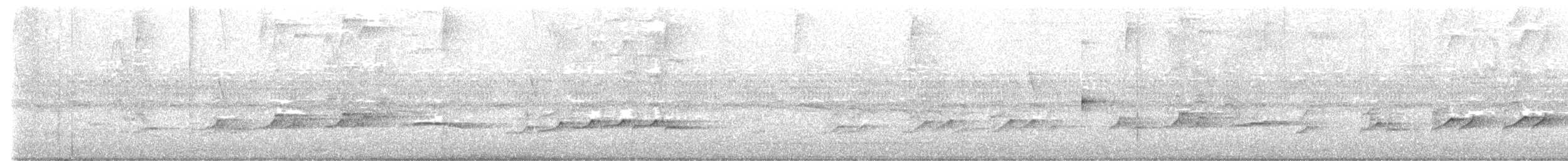 Bright-rumped Attila - ML638755965