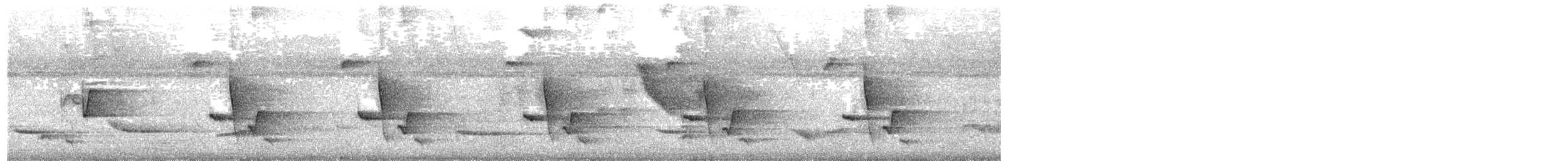 Bay Wren - ML638757581