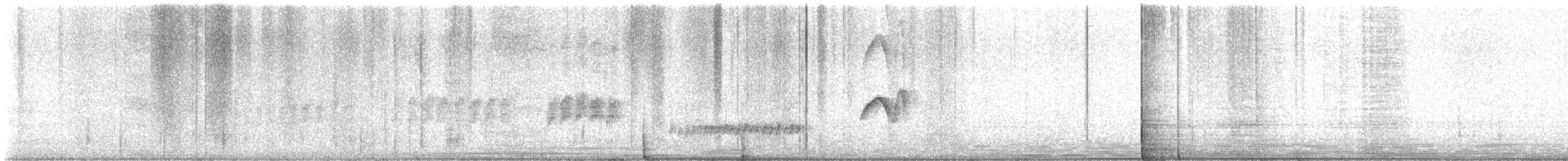 Northern Mockingbird - ML638757622
