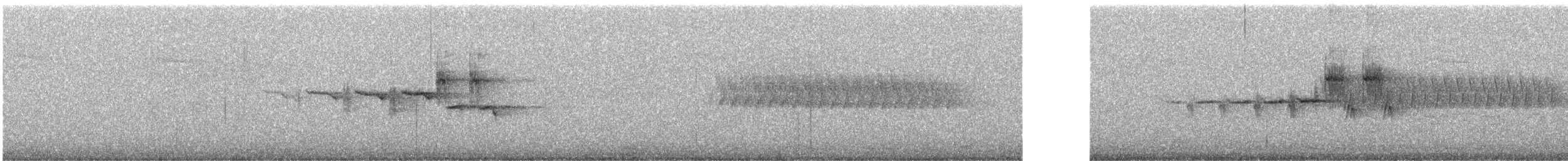 Hermit Warbler - ML638757702
