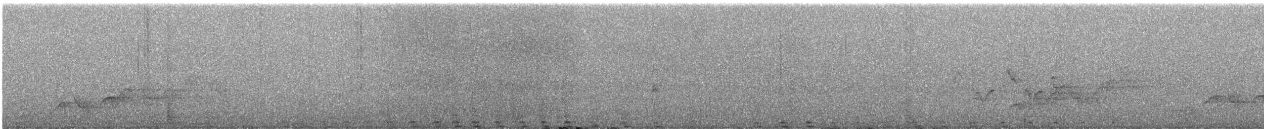 Band-tailed Pigeon - ML638759707