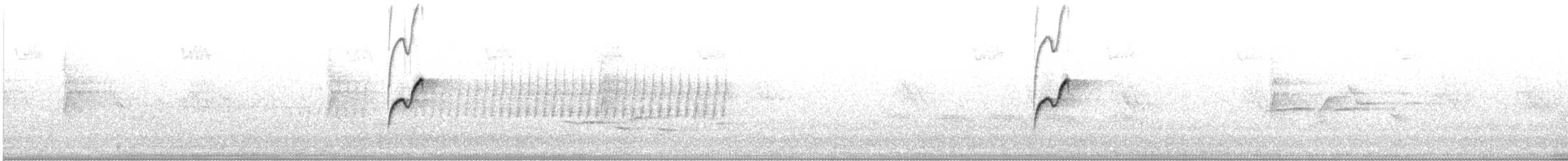 Western Flycatcher - ML638760186
