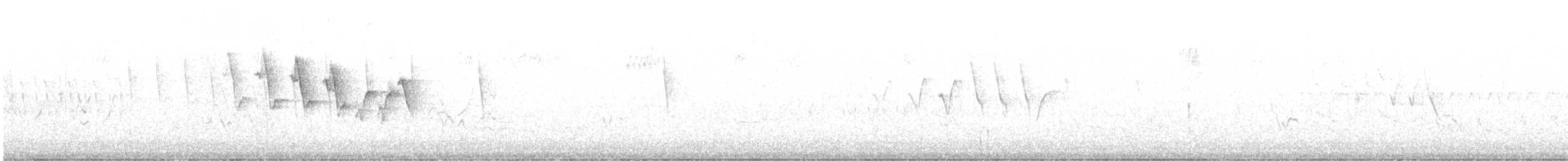 Yellow Warbler (Northern) - ML638760985