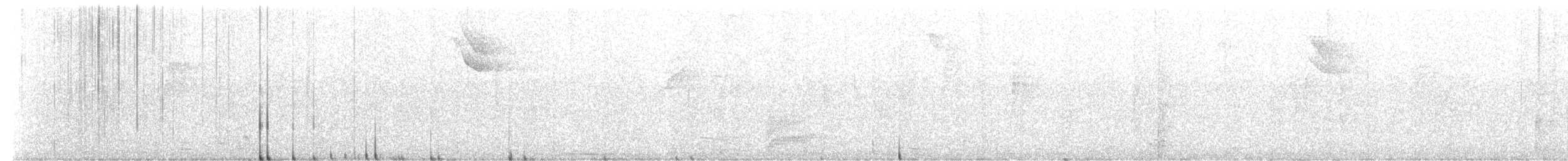 Spot-breasted Antvireo - ML638761379