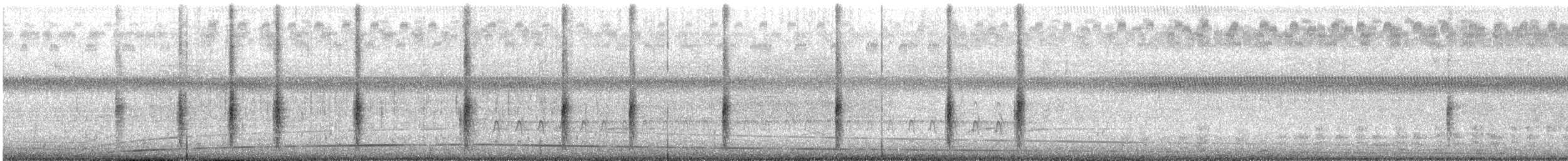 שחרורית אדומת-כנף - ML638761419