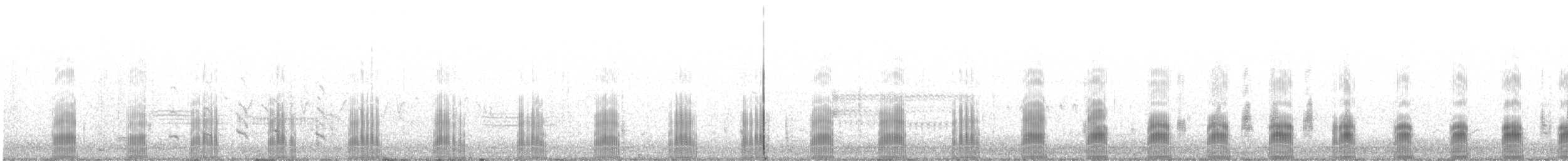 ミサゴ（carolinensis） - ML638761819