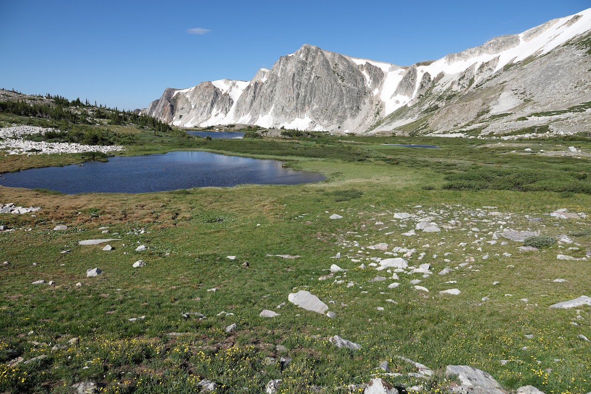 null - ML638764204