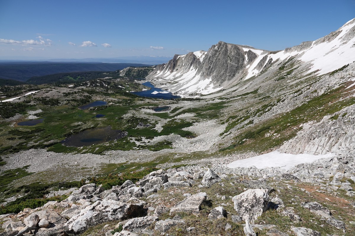 null - ML638764319
