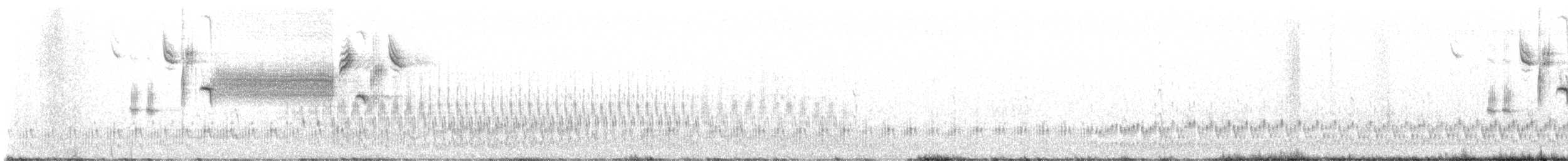 Semipalmated Sandpiper - ML638764394
