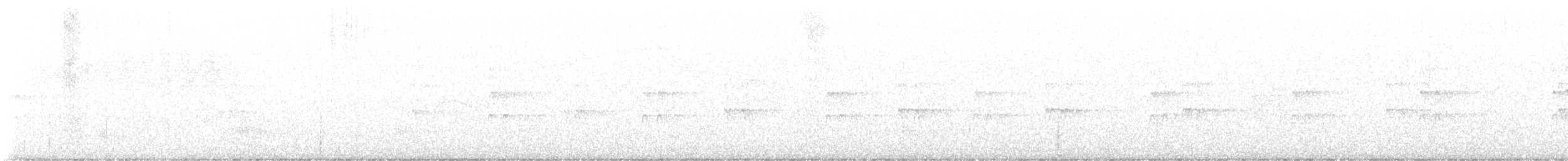 チャバラマユミソサザイ - ML638764744