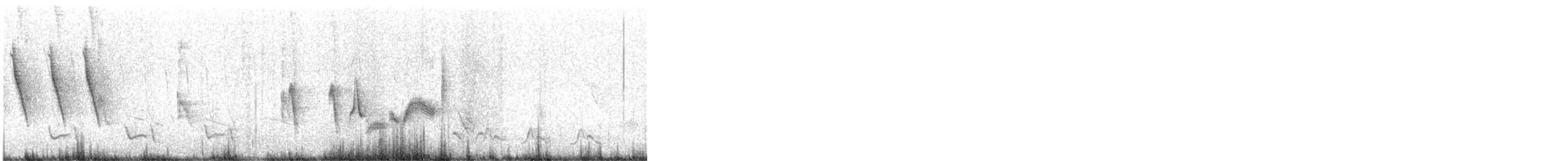 Northern Mockingbird - ML638764882