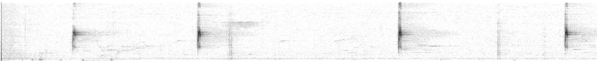 White-throated Sparrow - ML638765034