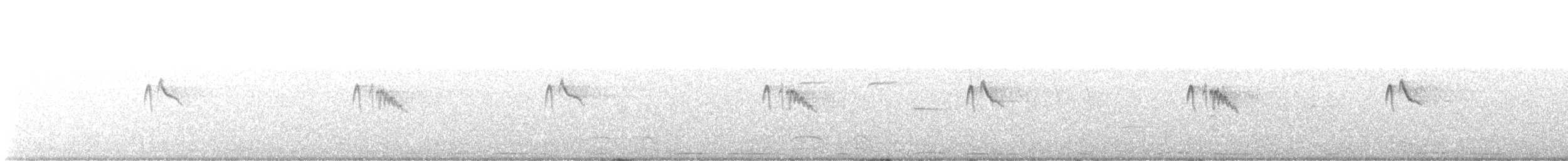 Black Phoebe - ML638765294