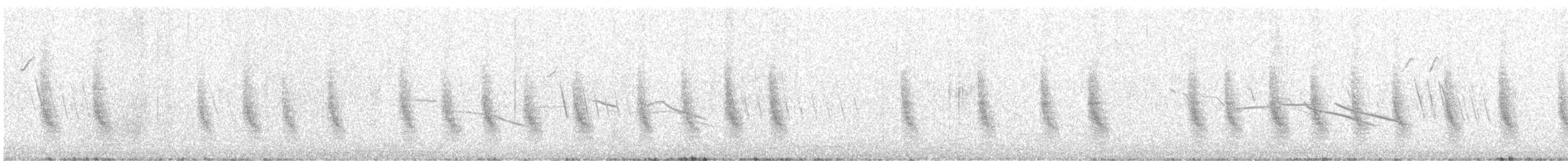 Apolinar's Wren - ML638765736