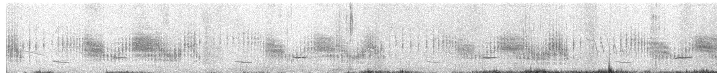 Apolinar's Wren - ML638765932