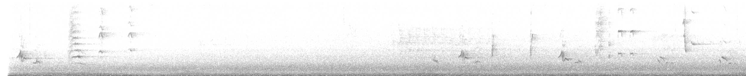 ネコマネドリ - ML638767496