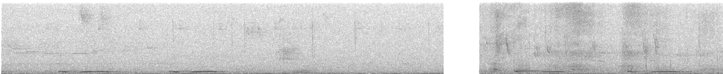 Band-tailed Pigeon - ML638769586
