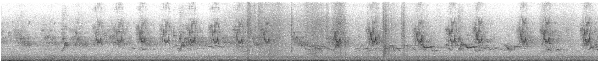 passerine sp. - ML638771396