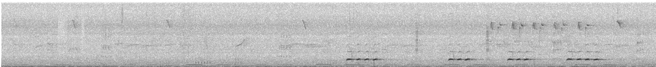 Streak-breasted Scimitar-Babbler - ML638775040
