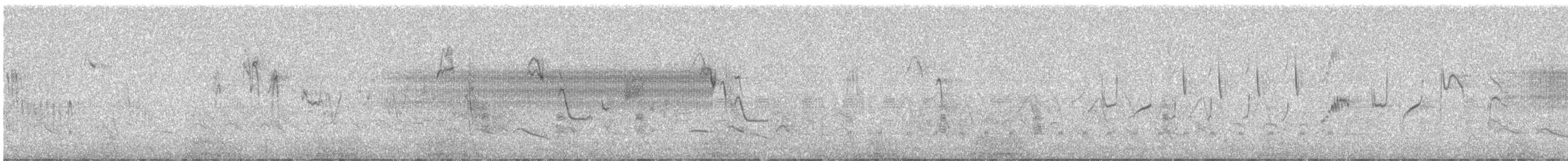passerine sp. - ML638775275