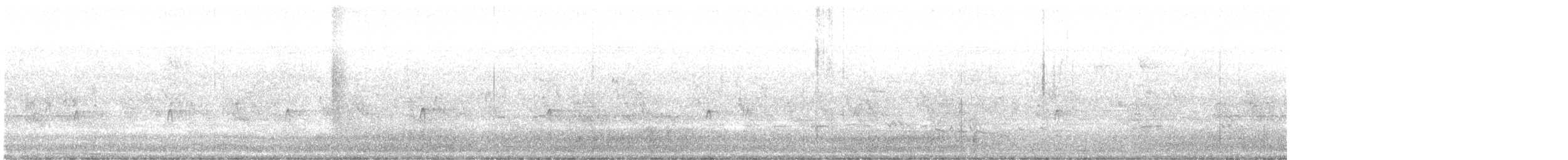 Couch's Kingbird - ML638776415