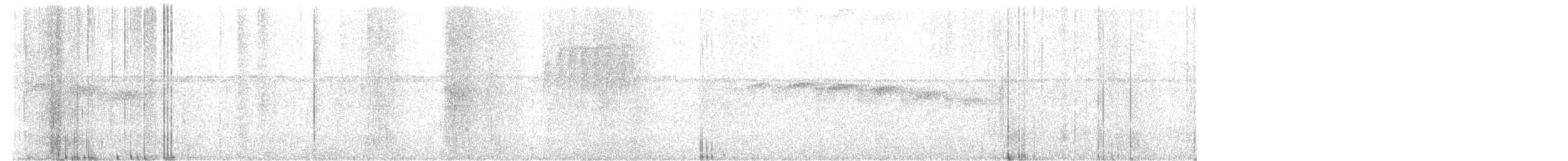 Squamate Antbird - ML638776725
