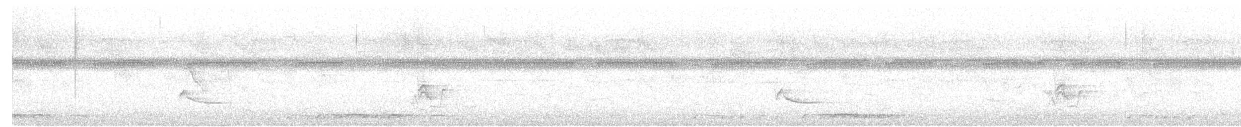 斑馬鳩 - ML638777412