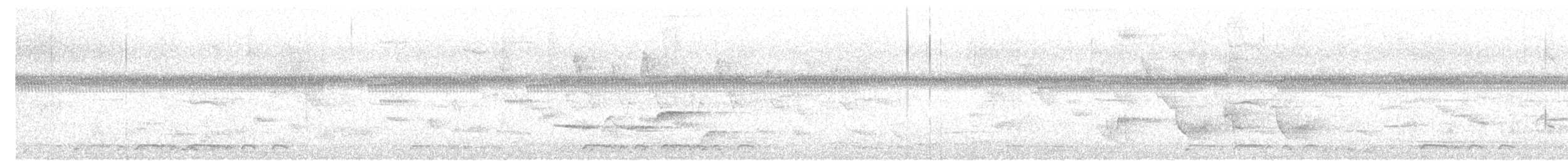 斑馬鳩 - ML638777513