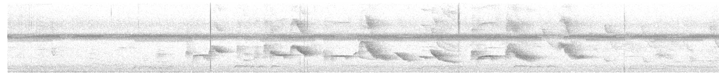 斑馬鳩 - ML638777586