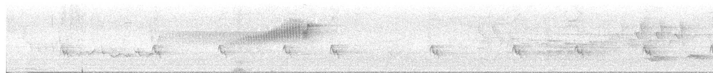 Northern Parula - ML638778250
