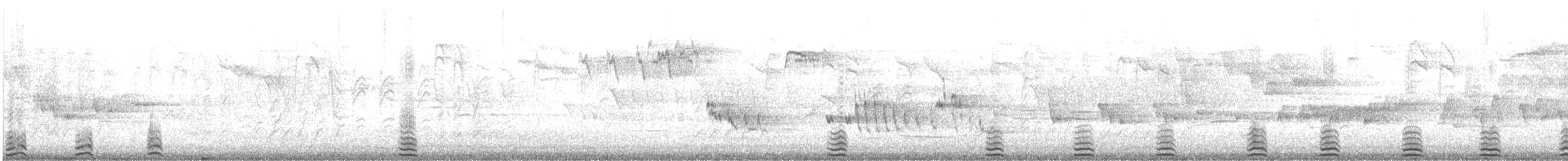 コウライキジ - ML638781404