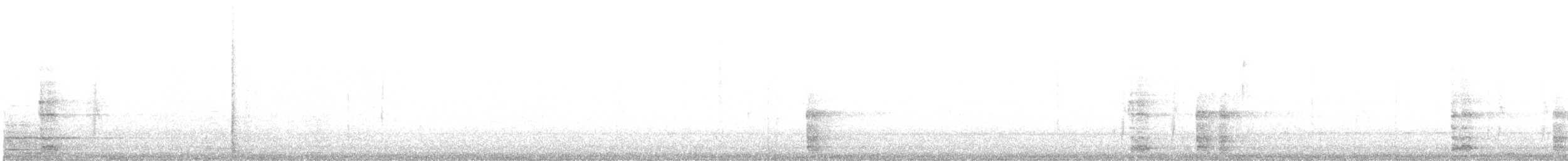 Faisai arrunta - ML638781669