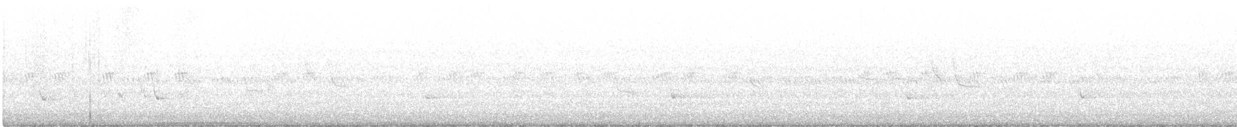 White-tailed Kite - ML638781835