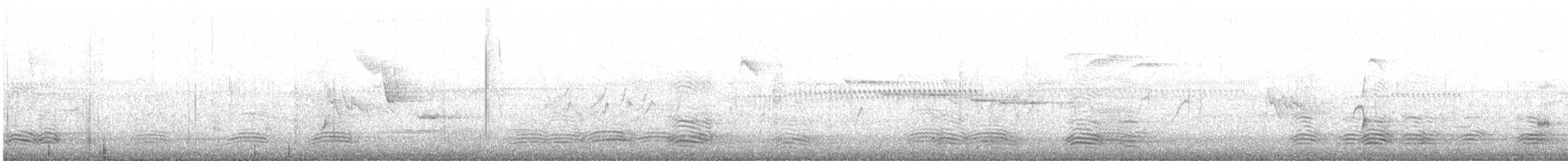 Torresian Crow - ML638781967