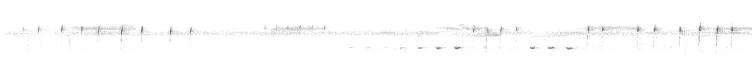 Cisticole des joncs - ML638782695