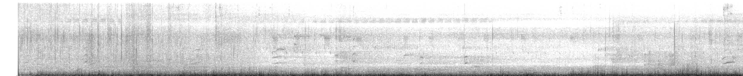 Black-winged Stilt - ML638782727