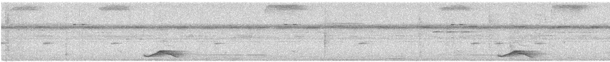 Common Pauraque - ML638782728