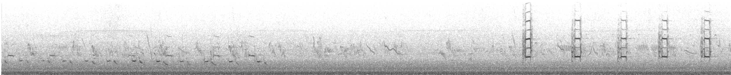 Francolin gris - ML638782734