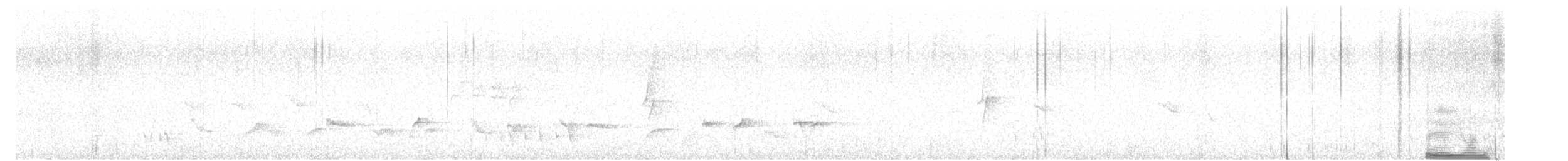 Amakihi familier (virens) - ML638782871