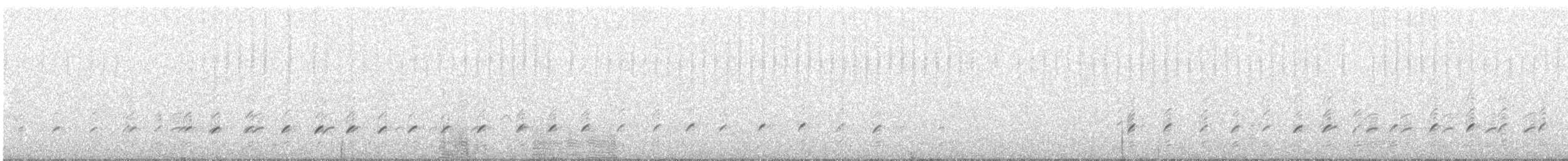 Échasse blanche - ML638783813
