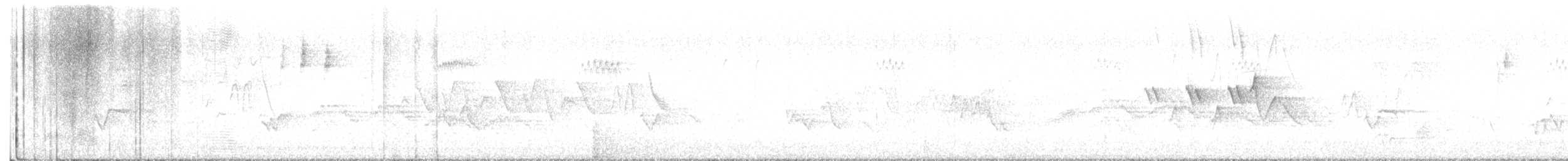 Magnolia Warbler - ML638786440