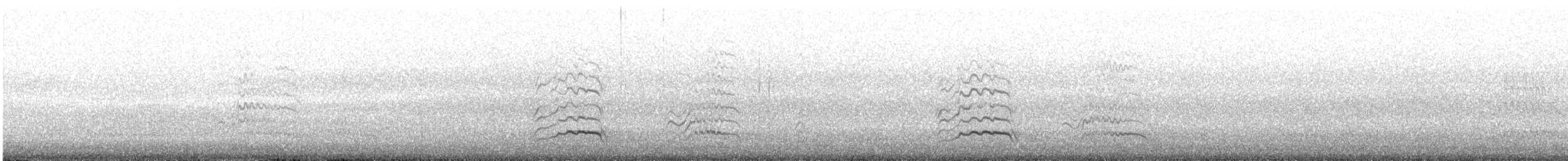Gray Gull - ML638786526