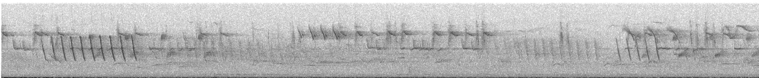 Kayın Baştankarası - ML638788029