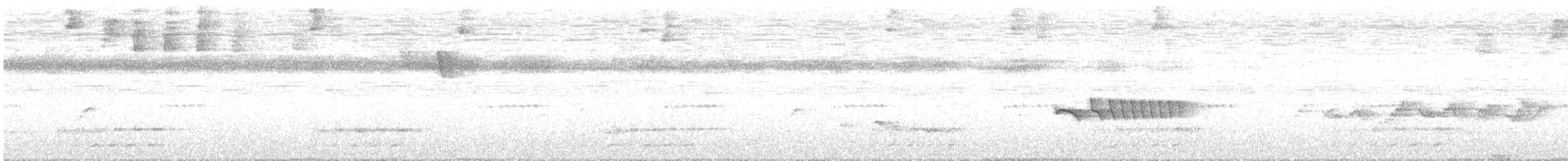 Golden-faced Tyrannulet - ML638788194