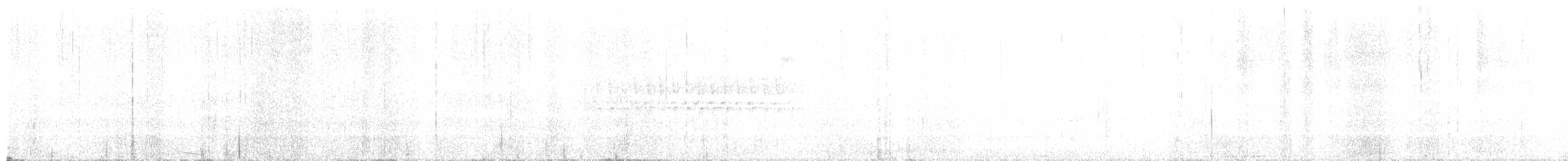 ユキヒメドリ（hyemalis／carolinensis） - ML638789061