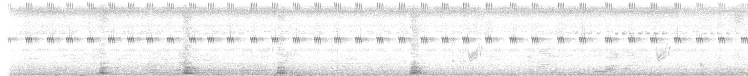 Savanna Nightjar - ML638789137