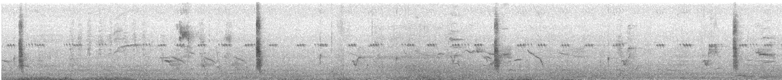 Northern Mockingbird - ML638789385