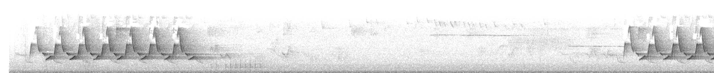 Carolina Wren - ML638789519