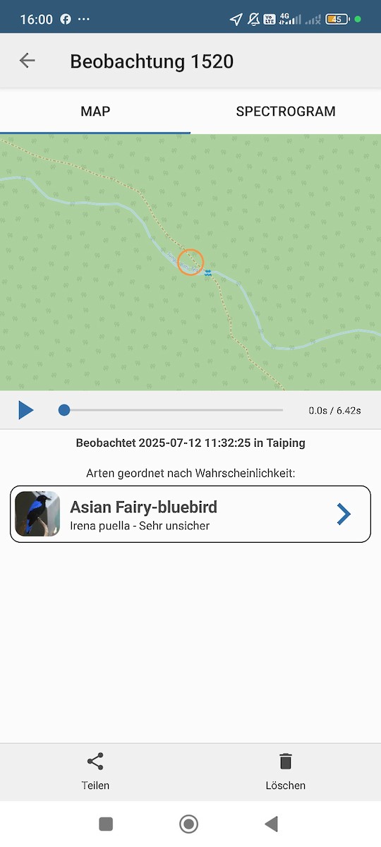 Asian Fairy-bluebird - ML638791076